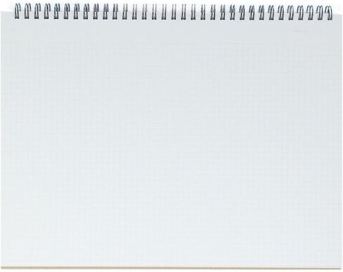 Maruman Mnemosyne Grid Notebook- Horizontal A4 Layout, 8.27" x 11.69", 70 Sheets / 140 Pages, 5mm Graph Paper Journal, Perforated Pages & Wire-Bound to Lay Flat, Black, Made in Japan in Kuwait