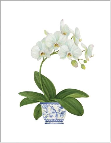 Caspari White Orchid Enclosure Cards & Envelopes - 4 Mini Cards & 4 Envelopes in Kuwait