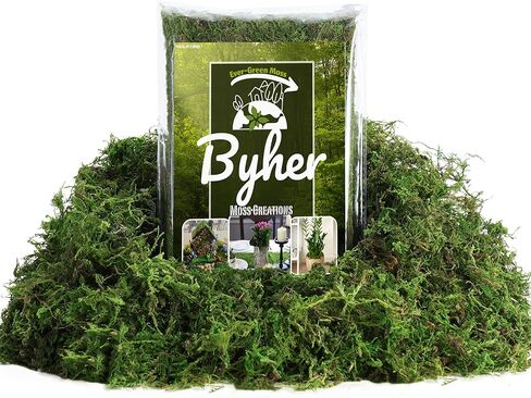 BYHER Fake Moss 4OZ - طحلب للحرف اليدوية والنباتات الداخلية، عشب أخضر صناعي واقعي للحديقة الخيالية، مشاريع DIY، نباتات بوعاء، قطع مركزية للطاولة، ديكور الزفاف (أخضر واقعي) in Kuwait