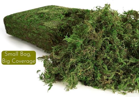 BYHER Fake Moss 4OZ - طحلب للحرف اليدوية والنباتات الداخلية، عشب أخضر صناعي واقعي للحديقة الخيالية، مشاريع DIY، نباتات بوعاء، قطع مركزية للطاولة، ديكور الزفاف (أخضر واقعي) in Kuwait