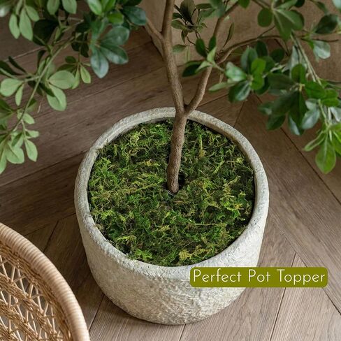 BYHER Fake Moss 4OZ - طحلب للحرف اليدوية والنباتات الداخلية، عشب أخضر صناعي واقعي للحديقة الخيالية، مشاريع DIY، نباتات بوعاء، قطع مركزية للطاولة، ديكور الزفاف (أخضر واقعي) in Kuwait