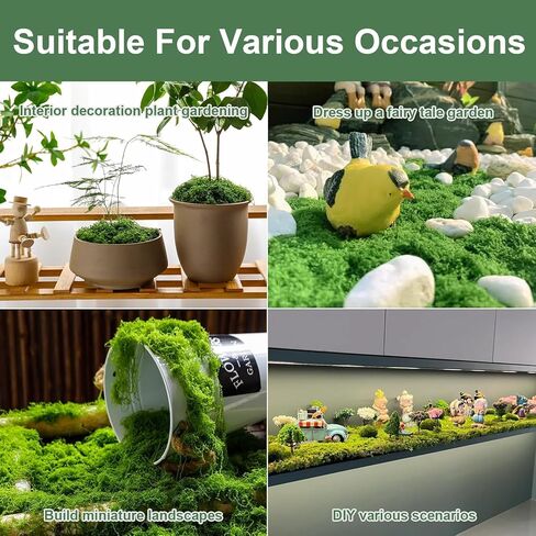 MGLIFEUL 12OZ Artificial Fake Moss for Crafts Plants Indoor with Non-Stick Gloves and Tweezers，Preserved Green Plant Faux Craft Moss Musgo for Fairy Garden Indoor Outdoor Home Decorating Model Making in Kuwait