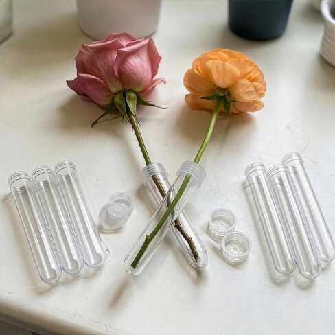 Royal Imports Floral Water Tubes with Caps – 3" Clear Plastic Flower Vials for Single Stem Roses, Buds, Bouquets – Standard Style, 1/2" Opening – 25 Pack in Kuwait