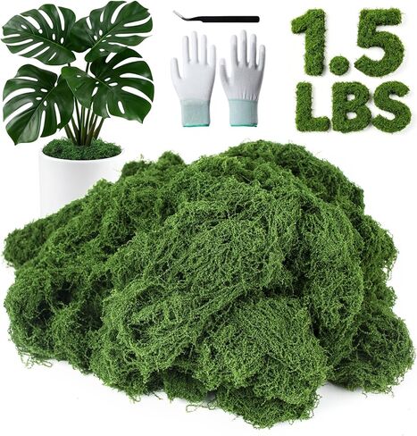 MGLIFEUL 12OZ Artificial Fake Moss for Crafts Plants Indoor with Non-Stick Gloves and Tweezers，Preserved Green Plant Faux Craft Moss Musgo for Fairy Garden Indoor Outdoor Home Decorating Model Making in Kuwait