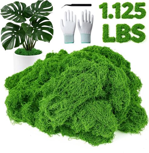 MGLIFEUL 12OZ Artificial Fake Moss for Crafts Plants Indoor with Non-Stick Gloves and Tweezers，Preserved Green Plant Faux Craft Moss Musgo for Fairy Garden Indoor Outdoor Home Decorating Model Making in Kuwait