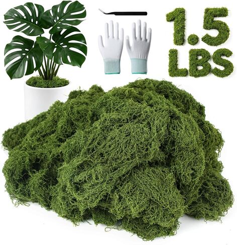 MGLIFEUL 12OZ Artificial Fake Moss for Crafts Plants Indoor with Non-Stick Gloves and Tweezers，Preserved Green Plant Faux Craft Moss Musgo for Fairy Garden Indoor Outdoor Home Decorating Model Making in Kuwait
