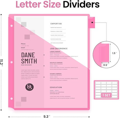 Taja 16 Count Dividers for 3 Ring Binder with Two Pockets, 8 Tabs Set, Plastic Binder Index Dividers, Perfect for Office & School Organization Supplies, Bright Colors, 2 Set in Kuwait