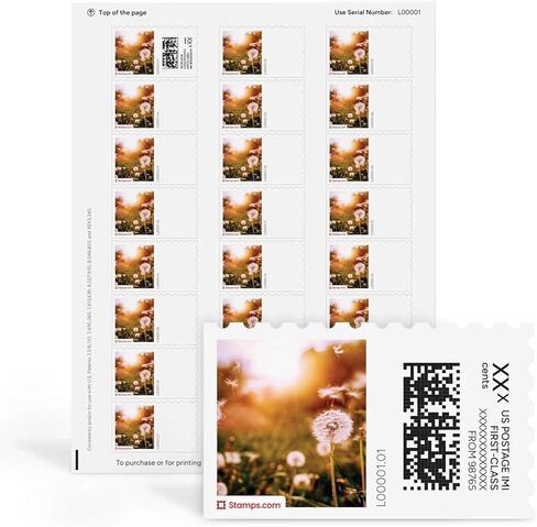 Dandelion Wishes NetStamps 120 حزمة (5 ورقات) ملصقات بريدية قابلة للطباعة (يتطلب الاشتراك في Stamps.com) - طباعة البريد المعتمد - طابعات نفث الحبر والليزر - الأعمال التجارية والشخصية والمنزلية in Kuwait
