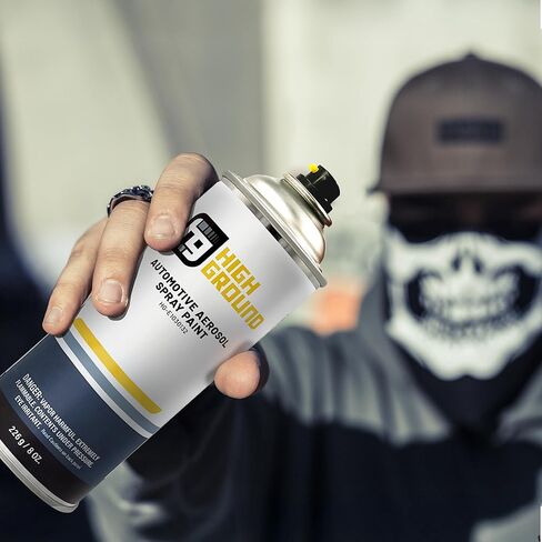 HIGH GROUND Factory Matched Automotive Spray Paint for BMW/Mini Cooper Automobiles (300 Alpine White, Solvent) in Kuwait