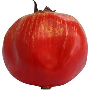 Simulation Pomegranate 4pcs Artificial Realistic Fruit Fake Fruit for Home Party Decoration High Grade Fake Pomegranate 8cm Foam Pomegranate