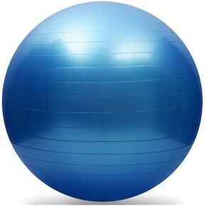 Fullgaden Exercise Ball (55-75cm) with Quick Foot Pump, Professional Grade Anti Burst & Slip Resistant Stability Balance for Yoga, Workout, L（58-65cm）, Blue