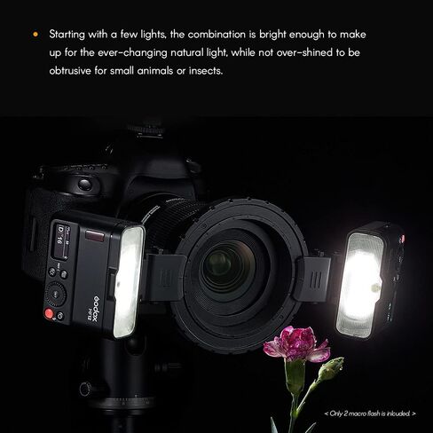 Godox MF12-K2 Macro Flash + MF-DB Flash Mount 2.4G وضع TTL M اللاسلكي مع مرشح الألوان، الحذاء البارد، حامل فلاش للصورة، التصوير الفوتوغرافي الماكرو، تصوير الأسنان لكاميرات نيكون/سوني/كانون in Saudi Arabia