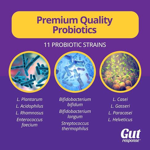 Sleep Probiotic for Men & Women, Slows Down Digestive Aging, Supports Sleep and Recovery, Promotes Healthy Gut, Vegan, Gluten Free & Soy Free, 3 Billion CFU, 30 Caplets in Saudi Arabia
