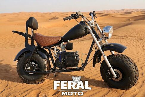 مجموعة تحويل فرامل الأسطوانة إلى القرص لدراجة كولمان CT200U BT200X CT200U-EX Axis M200 Baja MB200 الصغيرة، فرجار 63 مم دوار 160 مم - لحام + ترقية الترباس، لا حاجة إلى تغيير الإطارات in Kuwait