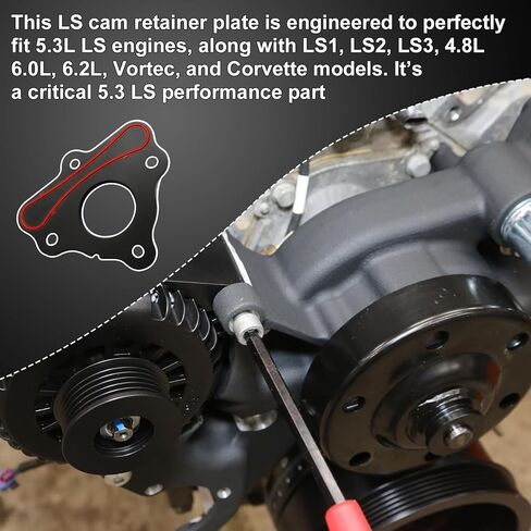 حشية لوحة تثبيت عمود الحدبات متوافقة مع محركات GM LS1 LS2 LS3/Vortec/Corvette، تناسب GM LS1 LS2 LS3 L83 L86 L87 4.8L 5.3L 6.0L 6.2L، تحل محل 12589016، BTR89016، باستثناء البراغي in Kuwait