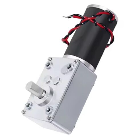 5840-31ZY DC Worm Gear Motor, 12V/24V, High Torque 70 kg.cm, 8mm D Shaft, Self-Locking, Totally Enclosed Brushless (24V 27RPM) in Kuwait