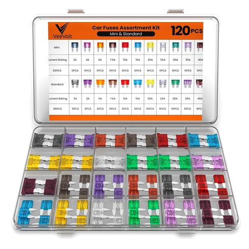 300 Pcs Car and Automotive Fuse Kit Standard Mini and Low Profile Mini Fuses Assortment Color-Coded with Pullers Portable PP Case CE Certified for Cars Trucks Motorcycles and Boats in Saudi Arabia