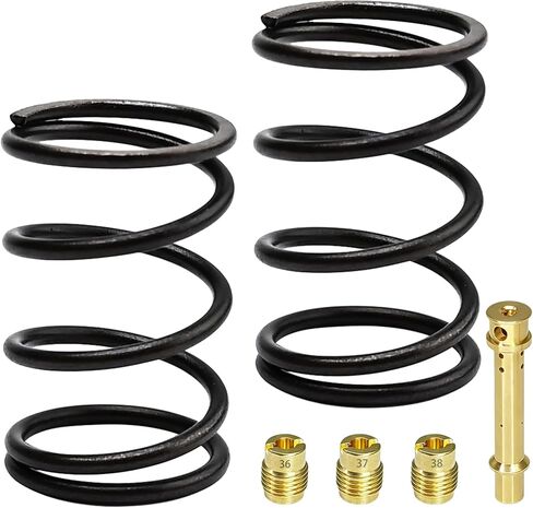 Strongthium 18lb Racing Valve Springs for Upgrade Predator 212cc 196cc 224cc Stage-2 Honda & Clone GX160 GX200 6.5hp Engine Coleman CT200U BT200X CT200U-EX Mini Bike Go Kart Performance Parts in Kuwait
