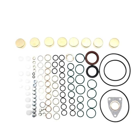 Gasket Kit Compatible with Diesel Fuel Engine Injection System Fuel Pump Replacement for 800717 and 2417010022 in Kuwait