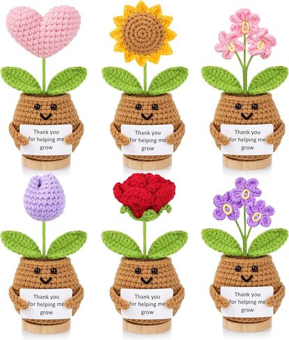 6PCS Teacher Appreciation Gifts for Women, Teachers Gifts Bulk, Positive Crochet Flowers, End of Year Teacher Present from Student, Emotional Support Crochet Set in Kuwait