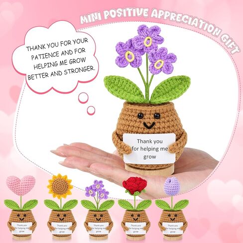 6PCS Teacher Appreciation Gifts for Women, Teachers Gifts Bulk, Positive Crochet Flowers, End of Year Teacher Present from Student, Emotional Support Crochet Set in Kuwait