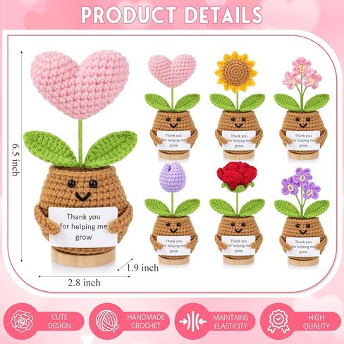 6PCS Teacher Appreciation Gifts for Women, Teachers Gifts Bulk, Positive Crochet Flowers, End of Year Teacher Present from Student, Emotional Support Crochet Set in Kuwait