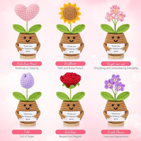 6PCS Teacher Appreciation Gifts for Women, Teachers Gifts Bulk, Positive Crochet Flowers, End of Year Teacher Present from Student, Emotional Support Crochet Set in Kuwait