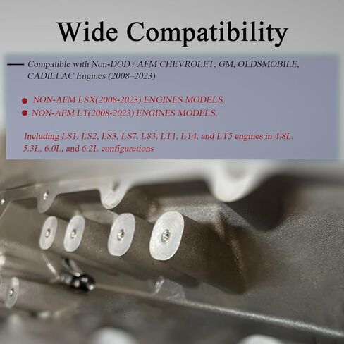 10Pack Stainless Steel Engine Plugs Compatible with Non-AFM GM Engines 2008-2023 LSX & LT Models 4.8, 5.3, 6.0, 6.2L Series, Non-DOD/AFM Oil Valley Plugs Fit for ls Swap Parts in Kuwait