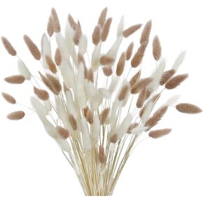 CISDUEO 120pcs Dried Bunny Tails Flowers Lagurus Ovatus Tail Dried Flowers Pampas Grass Brown and Orange 17" Natural Dried Floral Arrangement for Boho Decor Home Wedding DIY Farmhouse Table Christmas in Kuwait