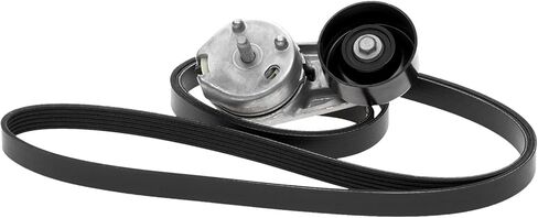 ACDelco Gold ACK060840K1 (19341398) حزام أفعواني مضلع على شكل حرف V in Kuwait