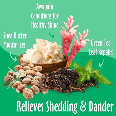 earthbath Green Tea & Awapuhi Pet Shed Control Conditioner - Helps Relieve Shedding & Dander, Aloe Vera, Shea Butter, Good for Dogs & Cats, Nourish & Detoxify Skin and Coat - 16 fl. oz in Saudi Arabia