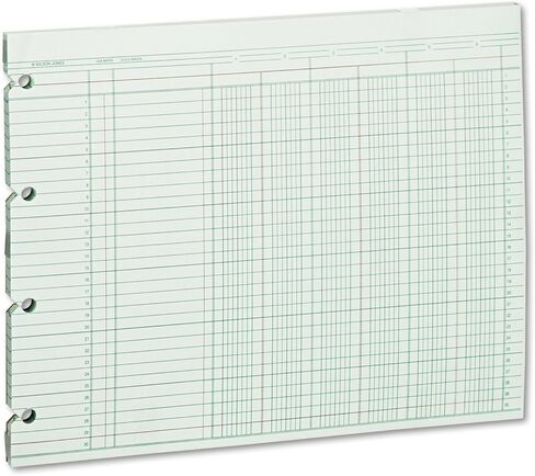 Accounting Sheets, Six Column, 9-1/4 x 11-7/8, 100 Loose Sheets/Pack, Green in Kuwait