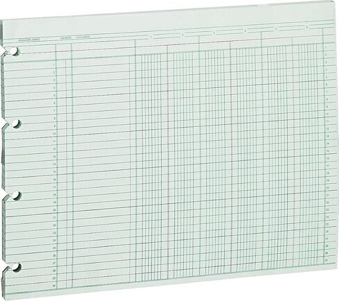 Accounting Sheets, Six Column, 9-1/4 x 11-7/8, 100 Loose Sheets/Pack, Green in Kuwait