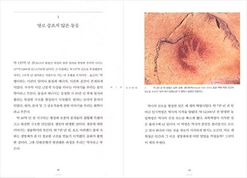 الكتب الكورية، 휴가철 추천، الحضارة/التاريخ الثقافي/الإنسان العاقل: تاريخ موجز للبشرية 역사의 대담하고 위대한 질문/الشحن من كوريا in Kuwait