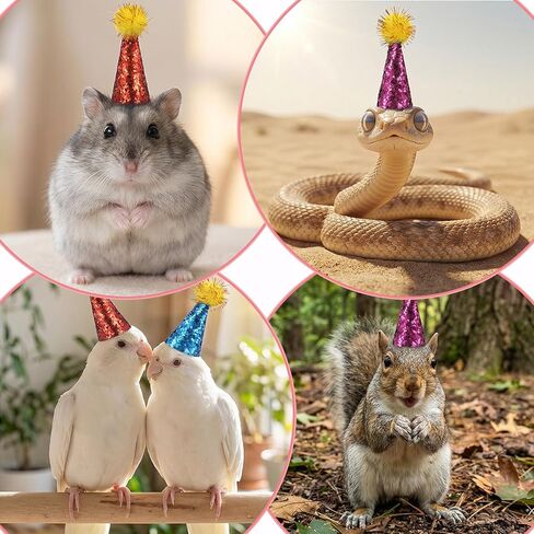 Tiny Party Hats for Stuffed Animals Hamster Hat Pet Show 10pack Mini Small Dog Hats with Sequin with Tinsel Pom Birthday Party Accessories Adjustable for Snakes Hedgehog Lizard Reptile in Kuwait