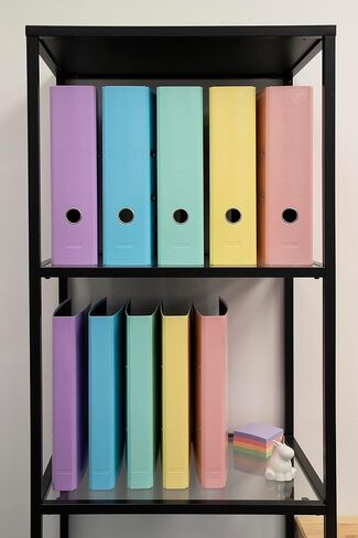 Exacompta - المرجع 53567E - صندوق مكون من 10 ملفات A4 Lever Arch Prem'Touch AQUAREL - 80 مم عمود فقري - 80 مم ميكانيكي - الأبعاد الخارجية: 32 × 28.5 × 8 سم - تنسيق ملف A4 - مرجاني in Kuwait