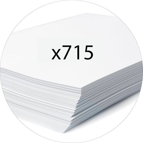 Exacompta - Ref 918415B - Box of 20 A4 Lever Arch Files - 75mm Spine - 80mm Mechanical - External Dimensions: 31.8 x 28.5 x 8 cm - A4 File Format - Colour: Raspberry in Kuwait