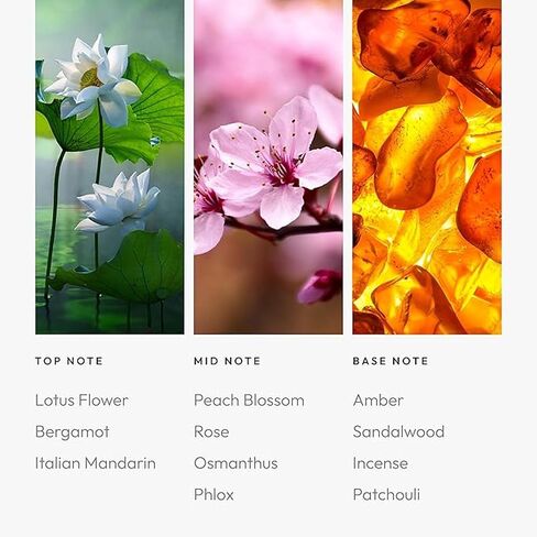 Aroma360 | Heat Elite (Cashmere & Dark Rose) Oil Blend | Miami Heat Edition Essential Diffuser Oil | Aromatherapy Scent Diffuser Oil | Italian Mandarin, Peach Blossom and Patchouli 1.7 fl oz, 50 mL in Saudi Arabia