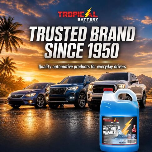 Windshield Washer Fluid, Ready-to-Use Bug Remover, Streak-Free Cleaning Formula, Removes Bugs, Dirt & Road Grime, +32°F, 1 Gallon in Kuwait