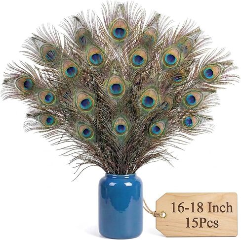 Lamar Peacock Feathers 15 Pcs 16-18 Inch Feathers Bulk Bundle for Tall Vases, Wedding Centerpieces, Home Decor, Costumes, and DIY Crafts in Kuwait