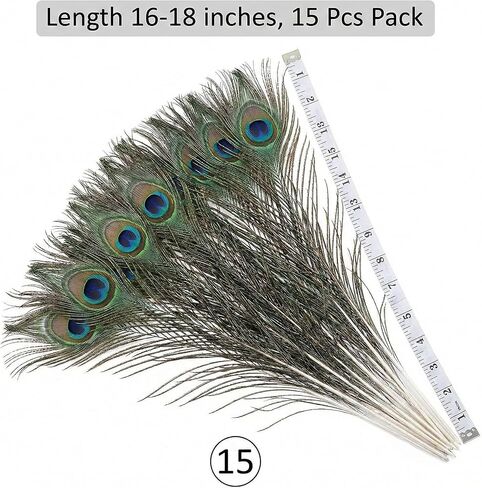 Lamar Peacock Feathers 15 Pcs 16-18 Inch Feathers Bulk Bundle for Tall Vases, Wedding Centerpieces, Home Decor, Costumes, and DIY Crafts in Kuwait