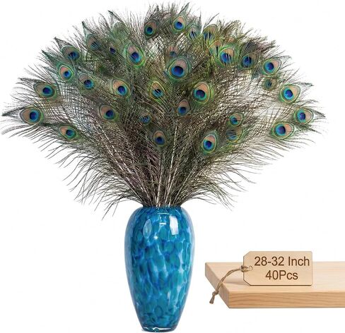 Lamar Peacock Feathers 15 Pcs 16-18 Inch Feathers Bulk Bundle for Tall Vases, Wedding Centerpieces, Home Decor, Costumes, and DIY Crafts in Kuwait