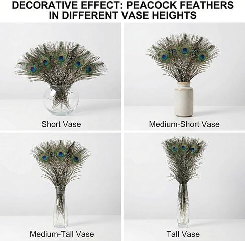 Lamar Peacock Feathers 15 Pcs 16-18 Inch Feathers Bulk Bundle for Tall Vases, Wedding Centerpieces, Home Decor, Costumes, and DIY Crafts in Kuwait