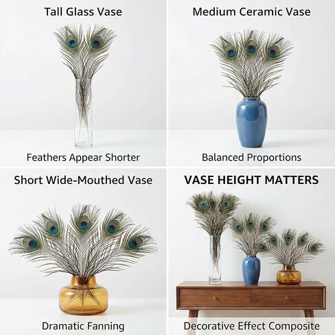 Lamar Peacock Feathers 15 Pcs 16-18 Inch Feathers Bulk Bundle for Tall Vases, Wedding Centerpieces, Home Decor, Costumes, and DIY Crafts in Kuwait