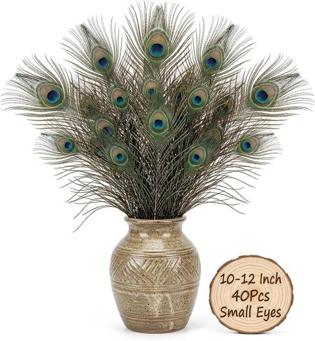 Lamar Peacock Feathers 15 Pcs 16-18 Inch Feathers Bulk Bundle for Tall Vases, Wedding Centerpieces, Home Decor, Costumes, and DIY Crafts in Kuwait