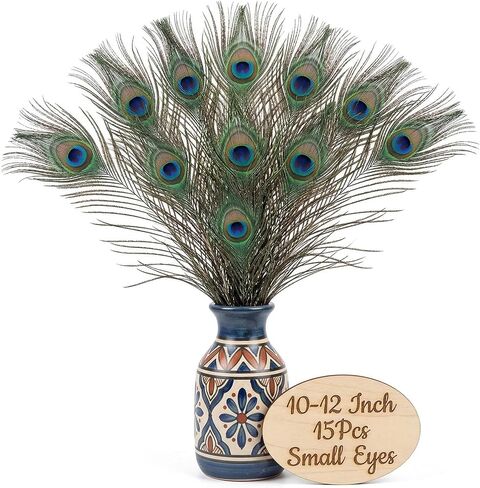 Lamar Peacock Feathers 15 Pcs 16-18 Inch Feathers Bulk Bundle for Tall Vases, Wedding Centerpieces, Home Decor, Costumes, and DIY Crafts in Kuwait
