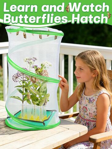 Complete Butterfly Habitat Kit - 14" W x 20" H Large Collapsible Mesh Growing Cage & Hydroponic Feeding Tubes/Rack Holder & Messproof Mat & Guide, Easy to Set Up, Monarch Caterpillars Enclosure House in Kuwait