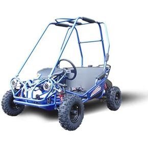 TRAILMASTER MINI XRS+ - عربة جو كارت للأطفال (أزرق) in Kuwait