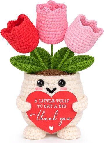 Thank You Gifts for Women, Appreciation Gifts for Boss Nurse Teacher Principal Boss Day Gift for Women End of Year Teacher Gift, Thanks Gift for Manager Coworker Handmade Positive Cheer Crochet Tulip in Kuwait