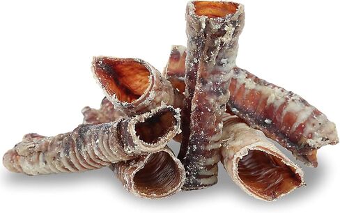 Pet Craft Supply All Natural Healthy Beef Rib Bones Dog Chews Treats for Aggressive Chewers Long Lasting Rawhide Free Made in USA Premium Grade Slow Roasted for Puppies or Small Medium Dogs 10 Pack in Kuwait